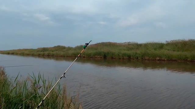 Ловля на КРОКОДИЛА смотреть онлайн