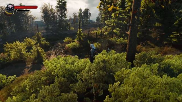 Mod Recommendation - Witcher 3 Random Encounters Reworked