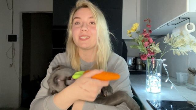 Сколько стоит содержать щенка? /Что купить для щенка? / Уход за щенком смотреть онлайн