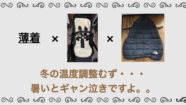 【ベビーカー】Bugaboo DragonFly首座り期使用レポ