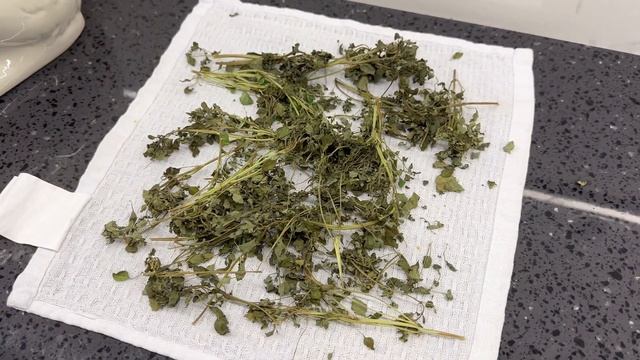 Худею на белковой диете | тренировки и рецепты | мотивация | эксперимент на 7 дней | похудела