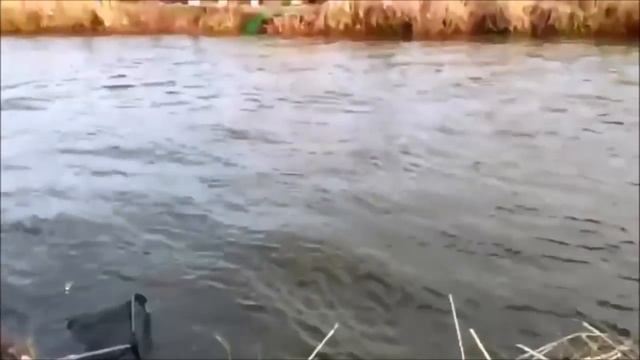 ВОТ ЭТО УЛЁТНАЯ РЫБАЛКА 2018 Вот это приколы на рыбалке #23 смотреть онлайн