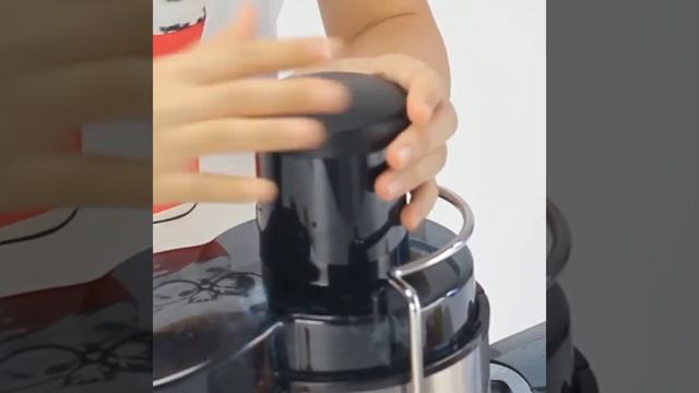 Extracteur de jus Sokany SK-4000 смотреть онлайн