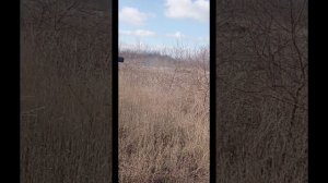 Тест ДТК "UNIGUN" для гражданского использования на боевом АК-12