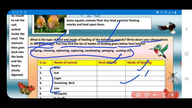 science worksheet 19 class 7(4/12/20)English medium/class 7 worksheet science19 /science worksheet1 смотреть онлайн