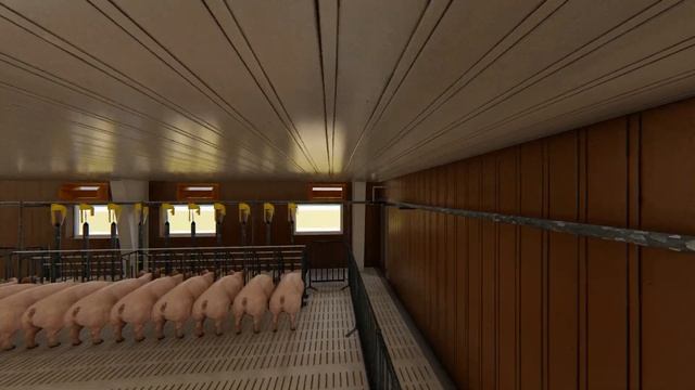 Проект свинофермы. Маточник Родилка Доращивание на 200 свиноматок. смотреть онлайн