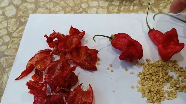Перец. Собираю семена. Царевич и Биг мама. смотреть онлайн