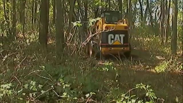 Loftness Timber Ax Hydraulic Skid-Steer Mounted Brush Cutter and shredder смотреть онлайн