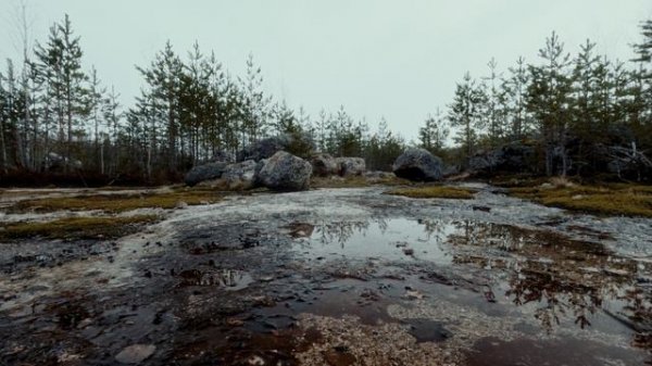 Я залез ОДНУ трассу в скалолазном районе "Тундра" | Скалолазный Vlog №16 04/2024