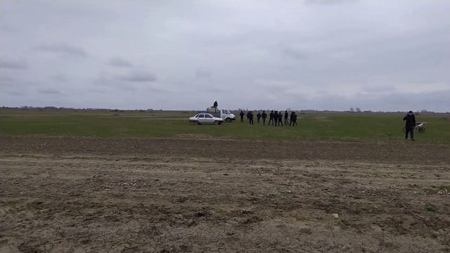 Скачки в Искра "любительские" дист:3200. смотреть онлайн