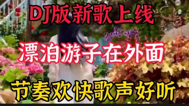 新歌推荐：一首火热DJ《漂泊游子在外面》节奏欢快歌词现实好听，【贵州周洪】 смотреть онлайн
