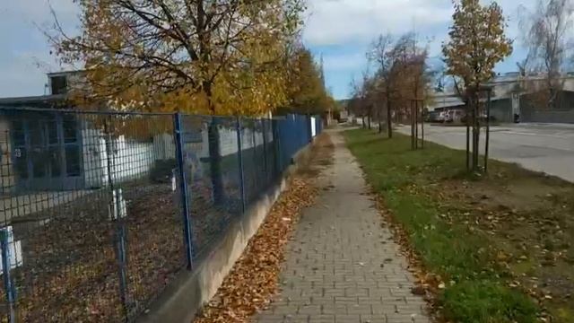 Vlog: Золотая Осень/ Тыквы на хэллоуин/ Конотека смотреть онлайн