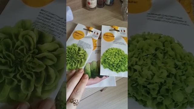 Квирк F1 огурец нетипичный. смотреть онлайн