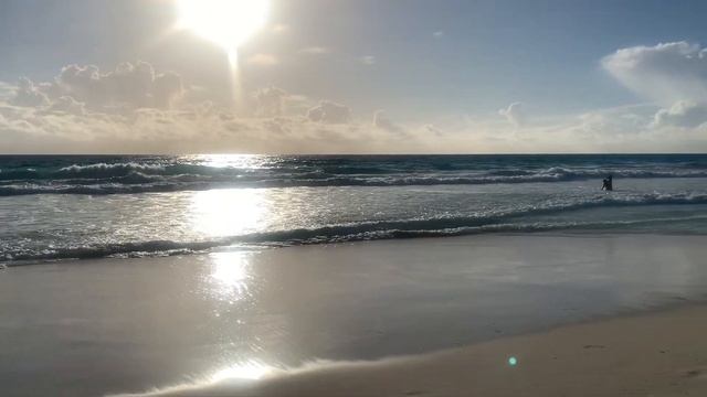 ОТЕЛЬ OCCIDENTAL TUCANCUN 4* / МЕКСИКА / Katty West смотреть онлайн