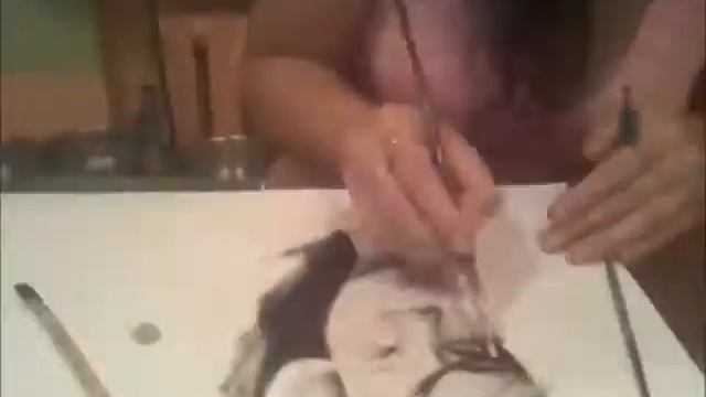 Художественные моменты