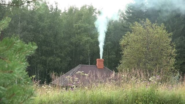 Баба живущая на хуторе  вместе с маленьким сыном, стала слыхать по ночам стылый, волчий вой!