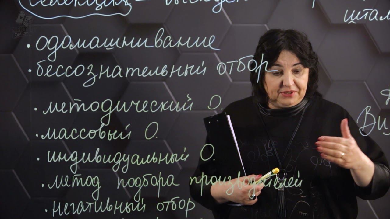 Искусственный отбор. 8 класс. смотреть онлайн