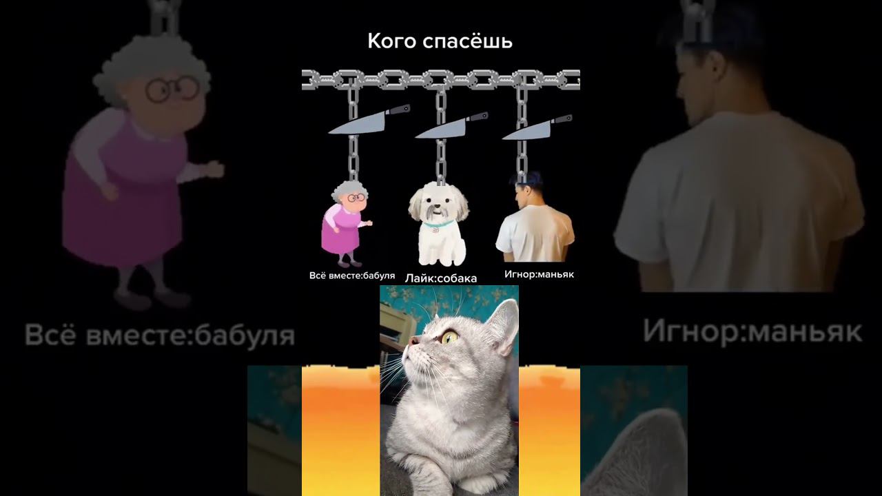 9 ноября 2023 г. смотреть онлайн