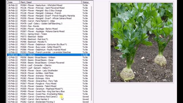 FEBRUARY - My seed sowings on weekly basis смотреть онлайн