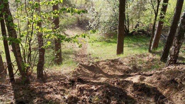 Regulmoto Crosstrec 300 против Regulmoto Sport 003