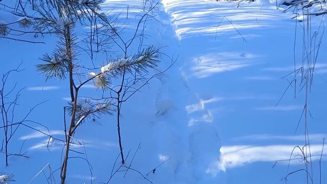 ЗМУ как его делать смотреть онлайн