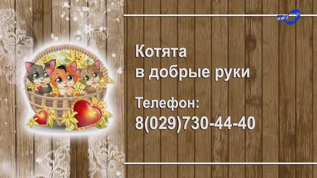 Переход с ретрансляции "Киносат" на собственный эфир, Доска объявлений (ТКМ (Мозырь), 27.06.2022) смотреть онлайн