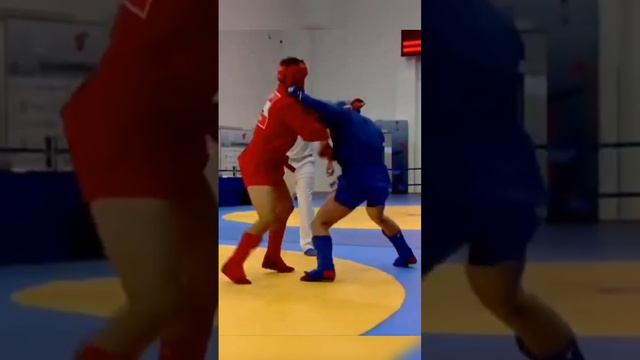 Суперкубок Мира по боевому самбо. НИКИТА СЕВЕРОВ- ЗОЛОТО смотреть онлайн