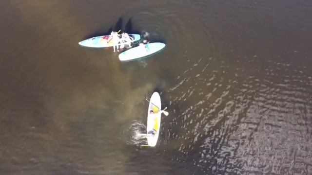 Где можно классно плавать на сап досках! Отличный водоём в 130 км от Москвы. смотреть онлайн