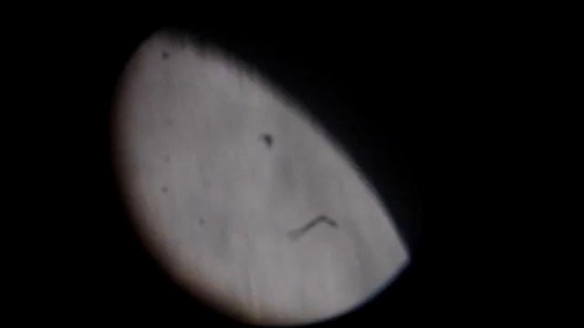 A Lua! 25/12/2007 смотреть онлайн