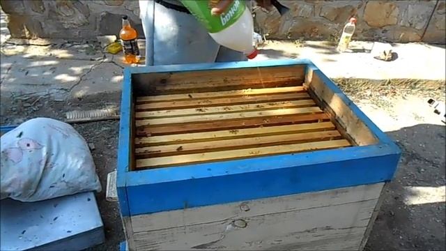 Продублировал обработку от клеща Тактиком после Экопола смотреть онлайн