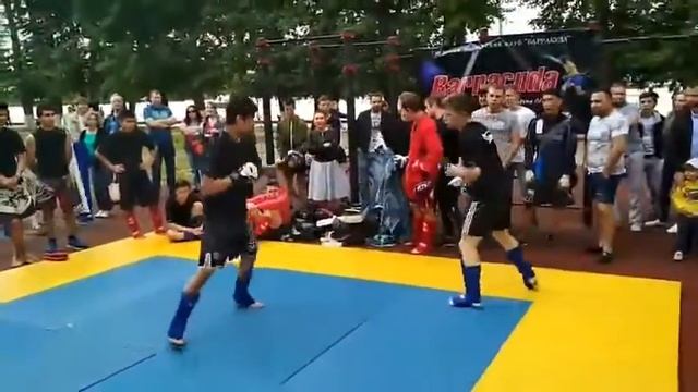 Спарринги ММА смотреть онлайн