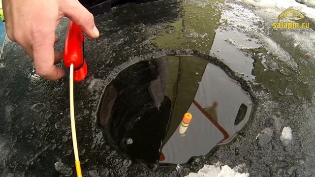 Зимние поклевки подлещика: классический поплавок, отводной поводок, мормышка [salapinru] смотреть онлайн