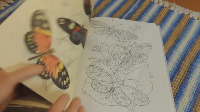 ОБЗОР РАСКРАСКИ ЭКЗОТИЧЕСКИЕ БАБОЧКИ//РАСКРАСКА АНТИСТРЕСС ДЛЯ ВЗРОСЛЫХ смотреть онлайн
