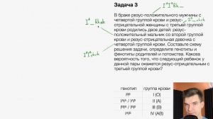 Генетические задачи на группы крови: разбор решений | Биология ЕГЭ