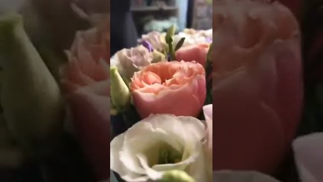 Коробка в форме сердца смотреть онлайн