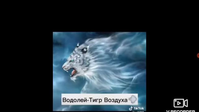 Какой ты мифический тигр по знаку зодиака💖(1 часть) смотреть онлайн