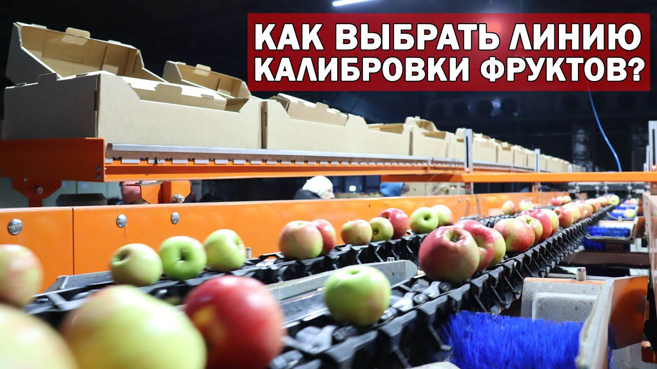 Как выбрать линию калибровки яблок, цитрусовых, слив, персиков, помидор с оптическим сортировщиком? смотреть онлайн