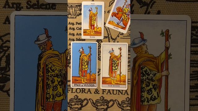 Паж Жезлов: описание и значение карты по Уэйту. Таро Райдер - Уэйт - Смит смотреть онлайн