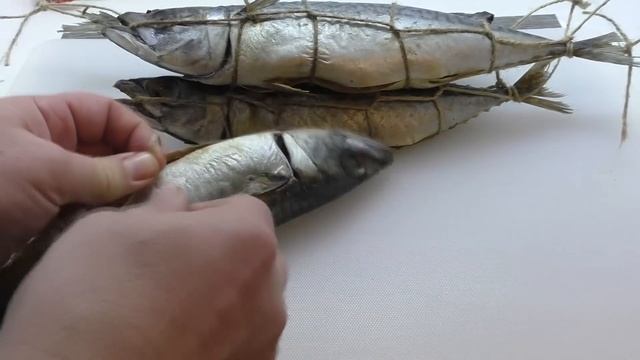 Скумбрия горячего копчения, в домашней коптильне BRAVO. #5 смотреть онлайн