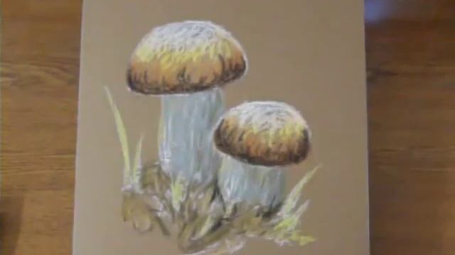 Рисуем белые грибы пастелью смотреть онлайн