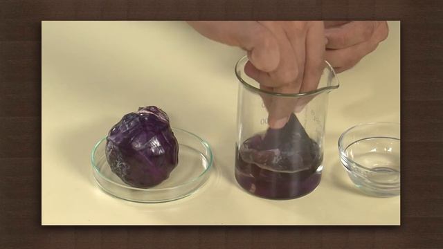 Red cabbage as acid base indicator | Acids and Bases | Chemistry смотреть онлайн