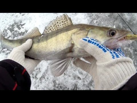 ВТОРОЙ ПЕРВЫЙ ЛËД 2023 !!! РЫБАЛКА НА СУДАКА ЗИМОЙ смотреть онлайн