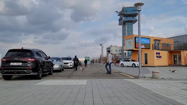 아라뱃길 나들이(반려견과함께) Ara Waterway Outing (with dog) アラ航路外出（伴侶犬と一緒に） смотреть онлайн