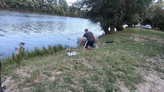 Ловля КАРПА и КАРАСЯ на реке Днестр. Рыбалка на Днестре 2020!!! смотреть онлайн