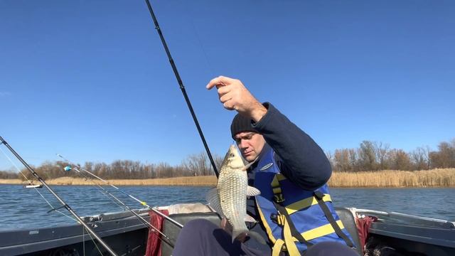 Бешенный клёв на Фидер Осенью река Дон смотреть онлайн