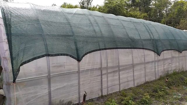 Затеняющая сетка для теплицы смотреть онлайн