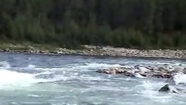 ТОФАЛАРИЯ Красавицу-Уду родила!.. смотреть онлайн