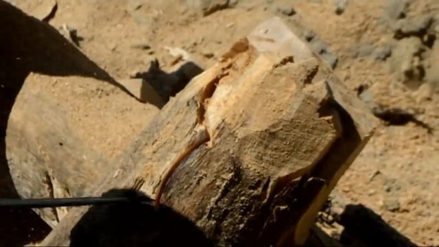 Выпуск № 006, Викинг. Для бани и дачи смотреть онлайн