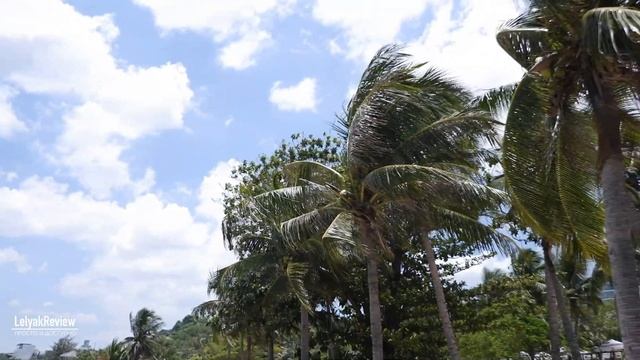 Fujifilm X-A7 + 18mm f2 | Тест электронной стабилизации в камере смотреть онлайн