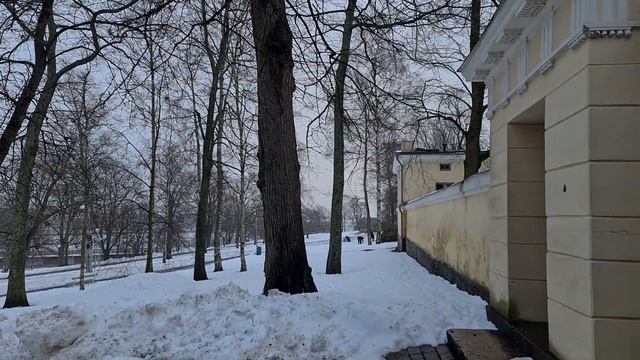 Helsinki Finland Walk In Kaivopuisto (Jan 24th 2021)